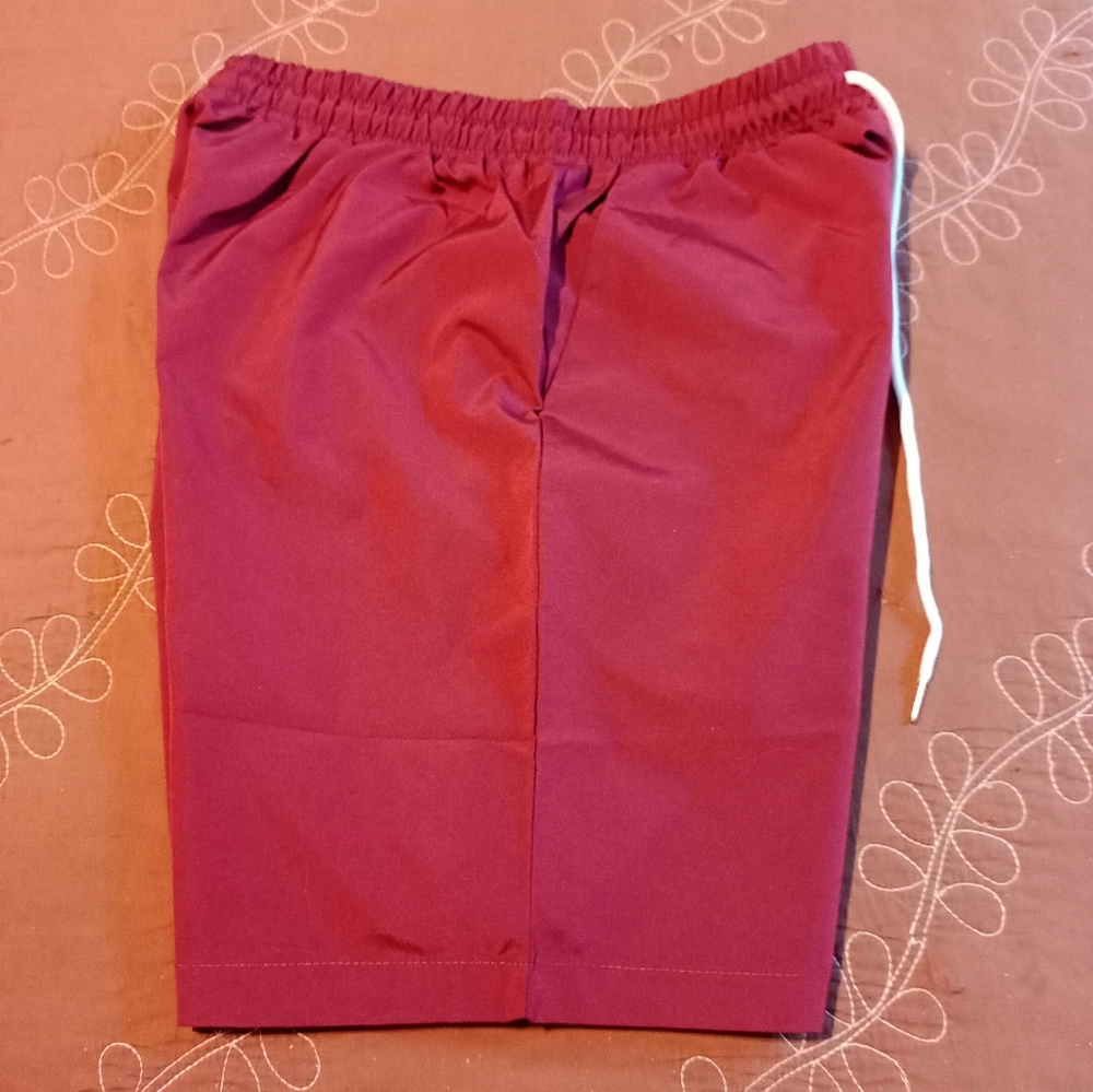 Shorts - Picture 2 of 3